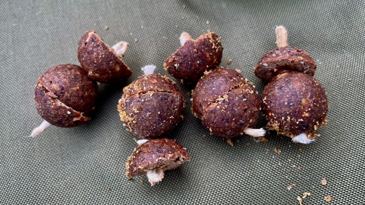 TB Baits