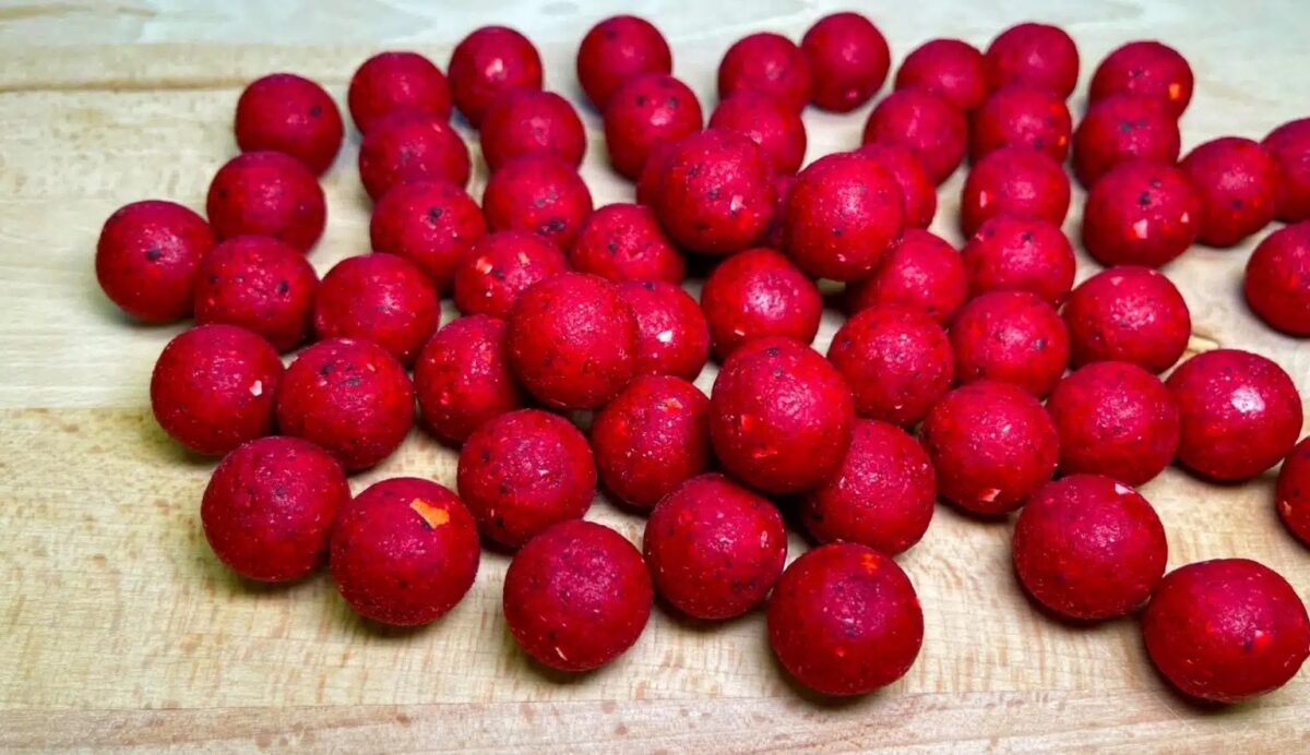 TB Baits