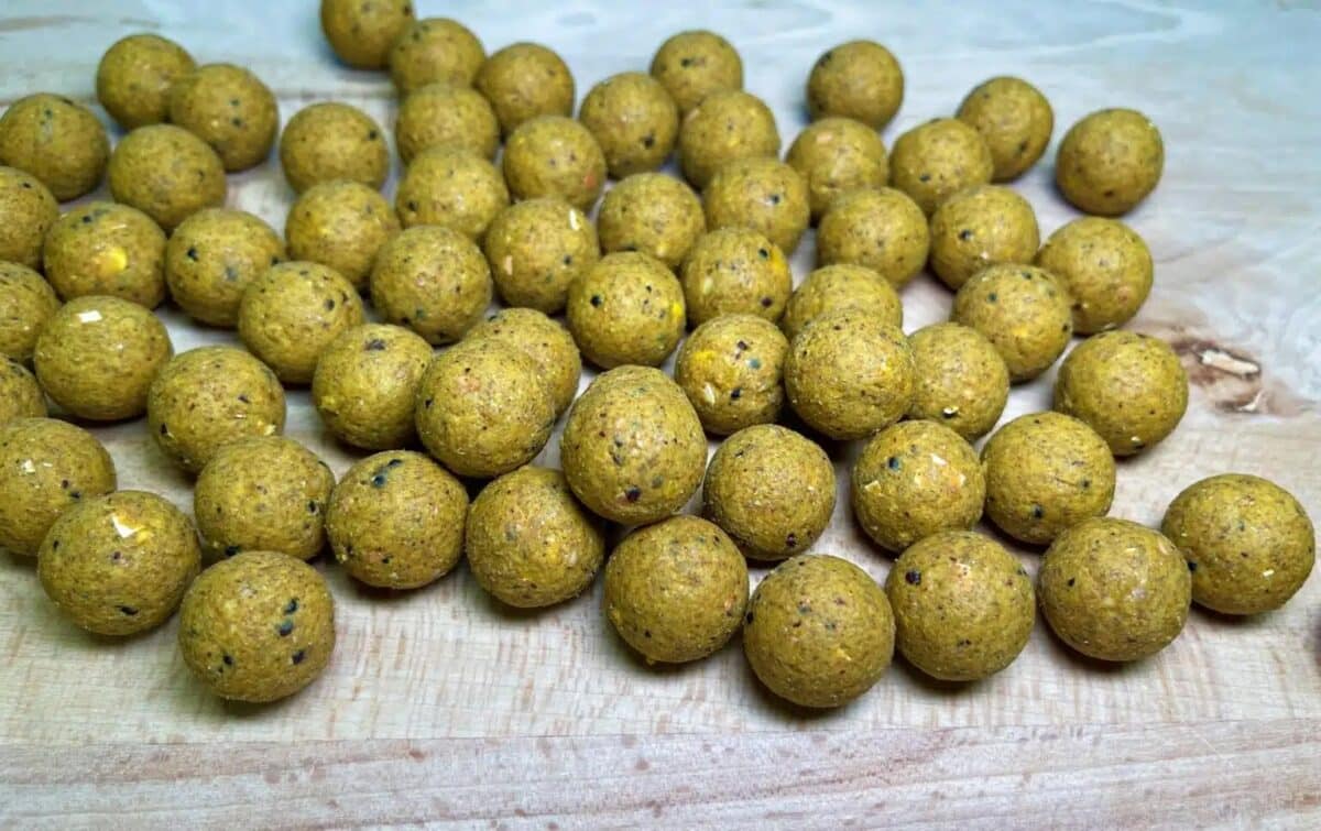 TB Baits