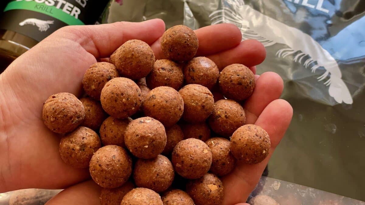 TB Baits
