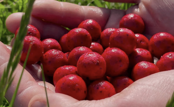 Jahodové boilies