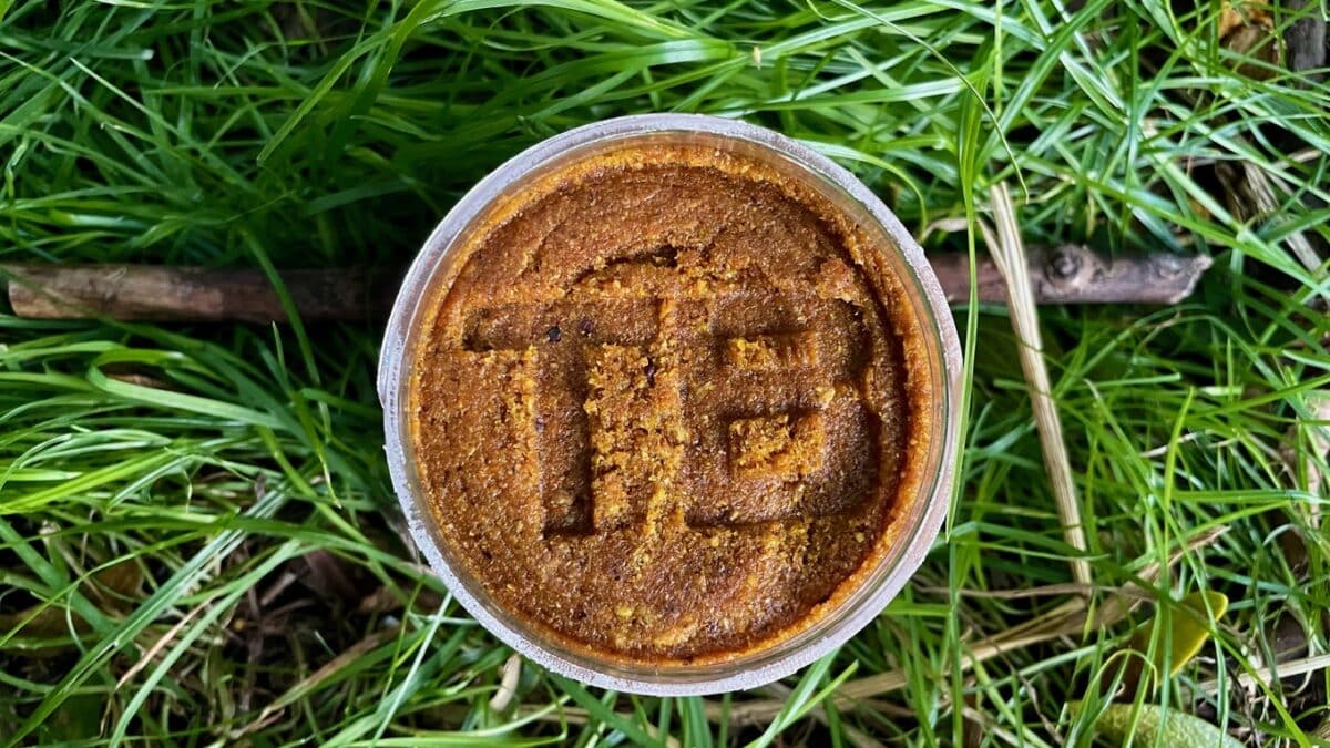 Top-down view of a round, golden-brown cake in a clear glass jar resting on green grass.