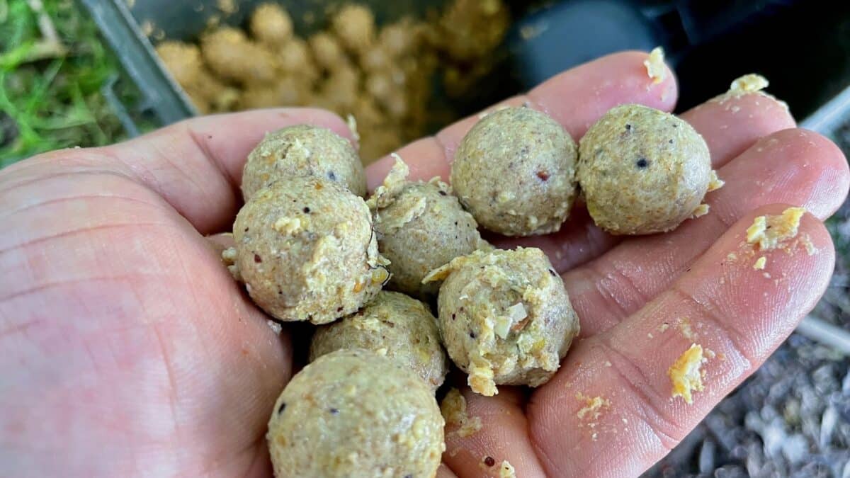 Small beige fishing bait balls held in a palm, with corn bits mixed in