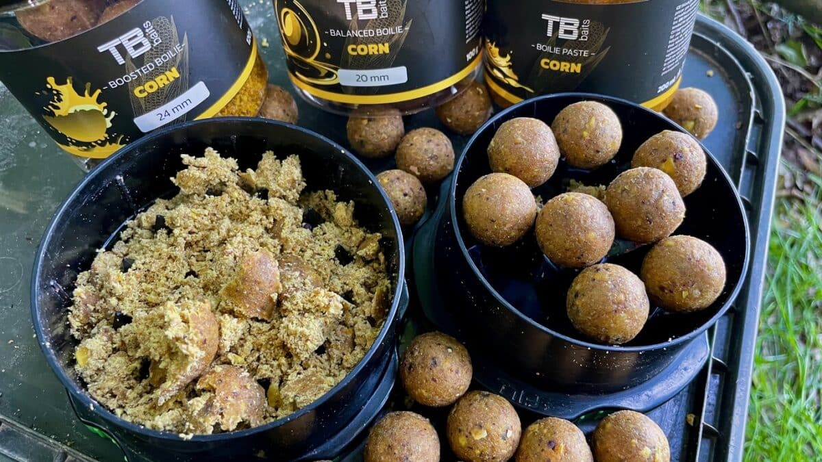 Assorted fishing bait: brown corn boilies and crumb mix in black containers, TB Baits Corn flavor, 20–24 mm labels visible.