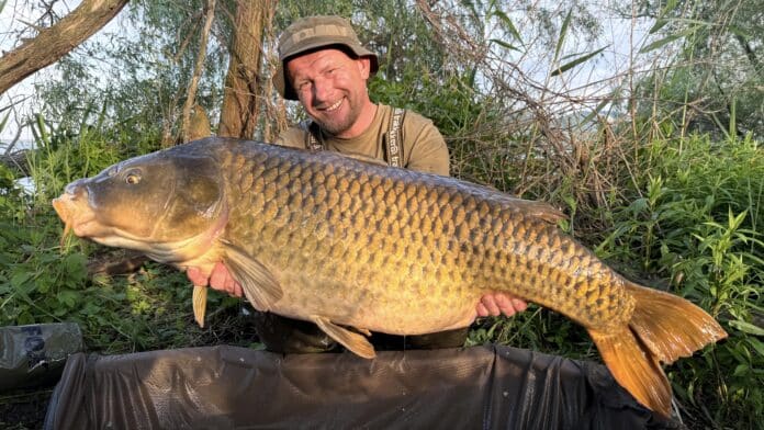 TB Baits