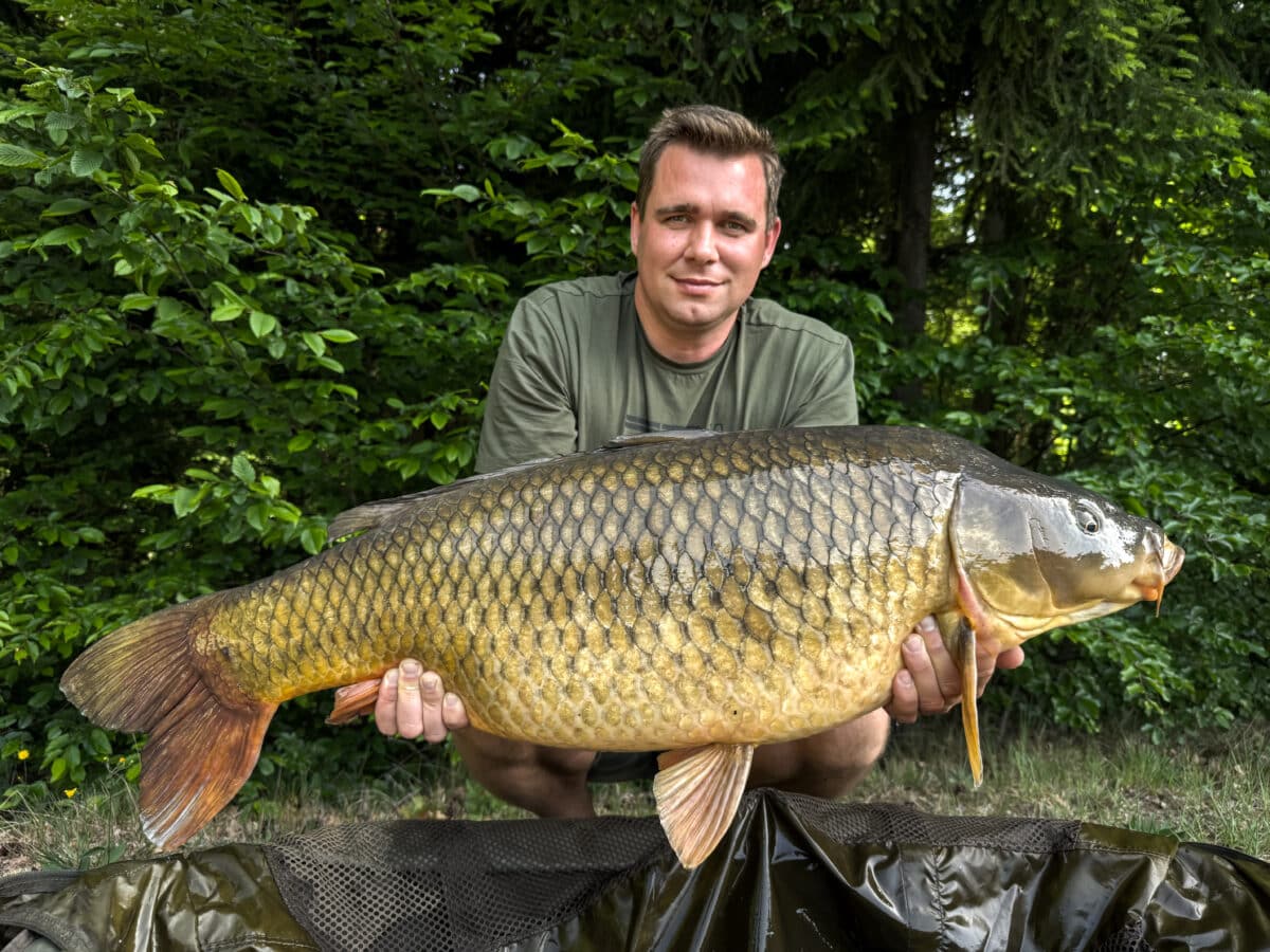TB Baits