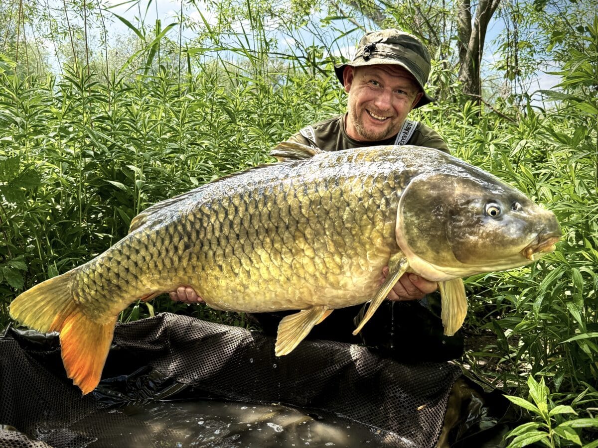 TB Baits