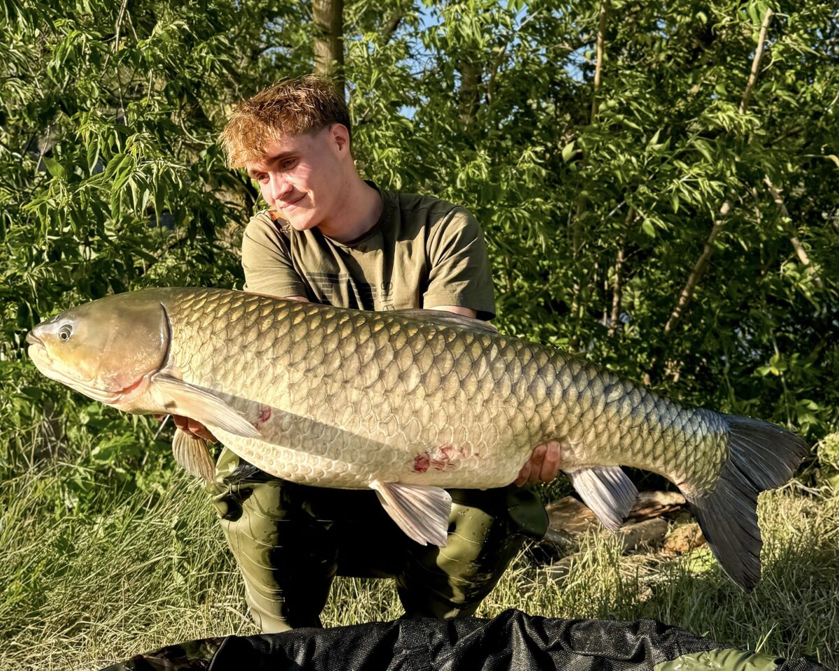 TB Baits