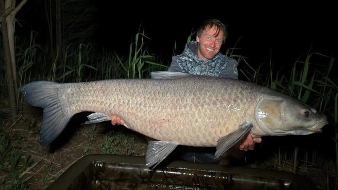 Smiling man in a camo jacket holds a very large carp at night beside tall reeds.