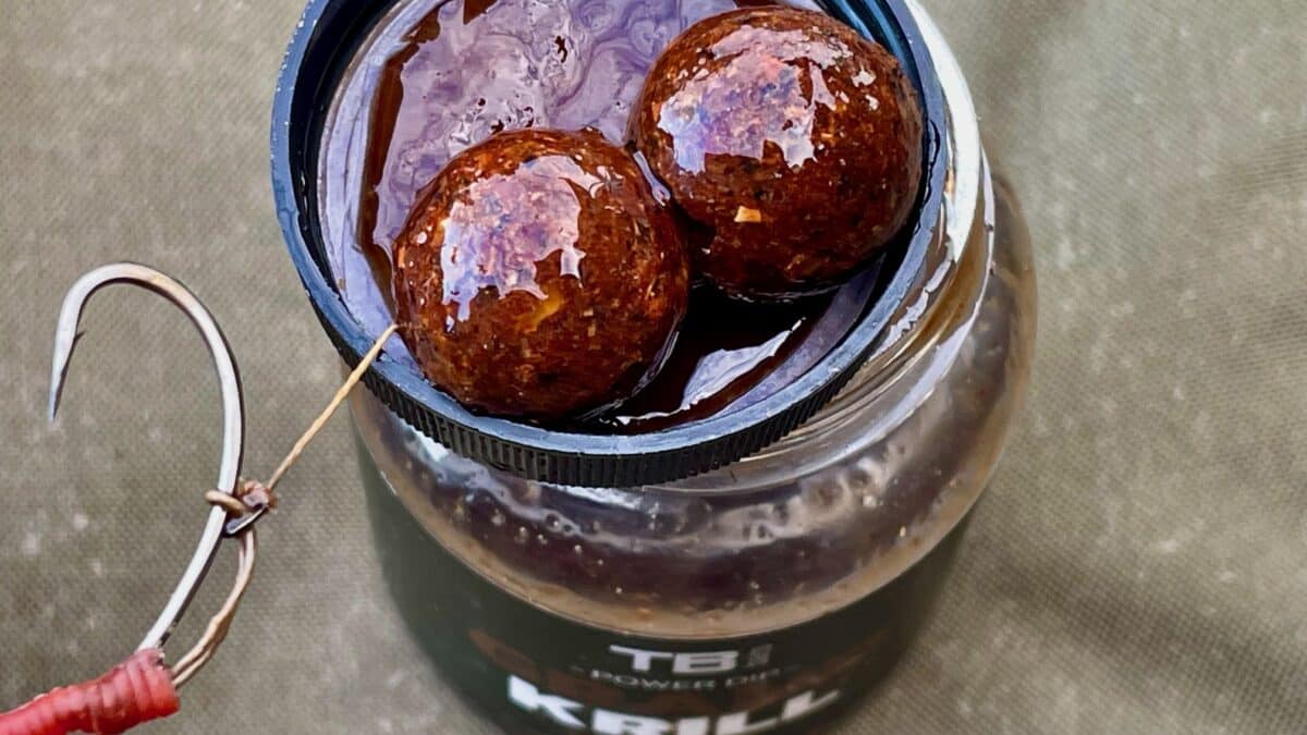Close-up of a glass jar with two glossy brown spheres soaking in dark syrup; a wire and red-wrapped tab are visible to the side.