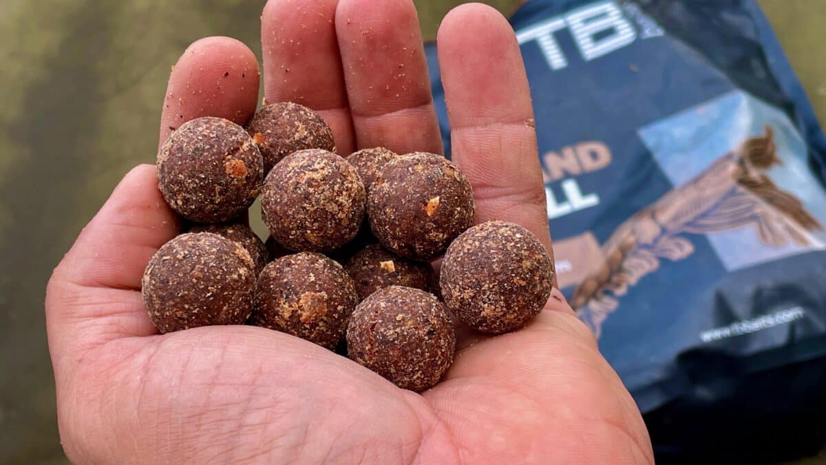 Hands holding several brown, crumbly fishing bait balls (boilies) with a tackle bag in the background.