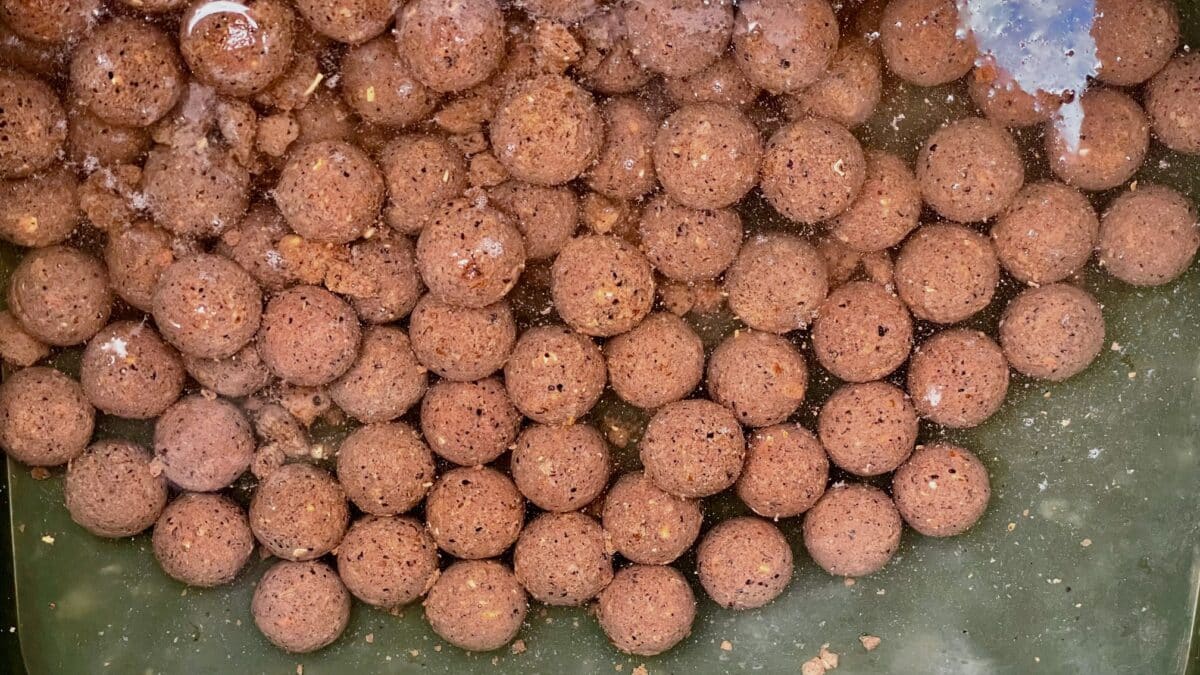 Small brown meatballs packed in a green container, sitting in liquid or sauce.