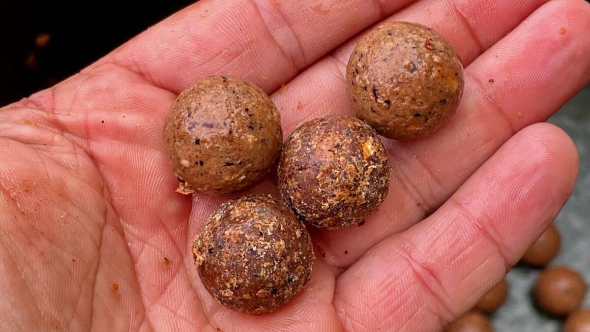 Four brown, speckled, pellet-shaped bait held in a dirt-stained hand.