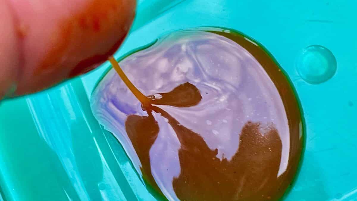 Close-up of a brown liquid pooled inside a circular dish on a bright teal background (abstract macro image).