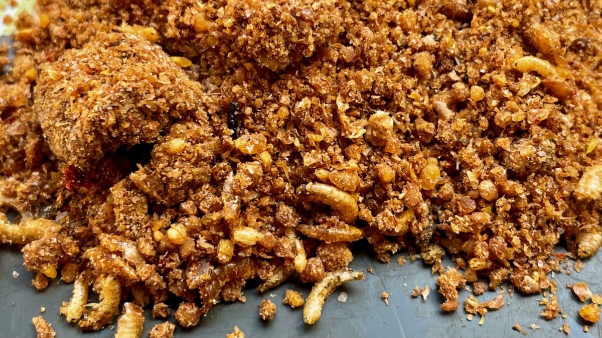Close-up of a crumbly, golden-brown fried coating with small cereal-like bits on a baking tray—resembling fried breadcrumb crusts.