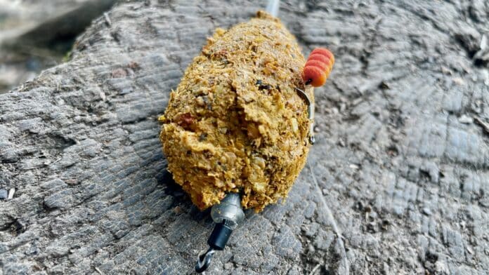 Seed-coated fishing lure with an orange worm bait resting on a wooden surface.