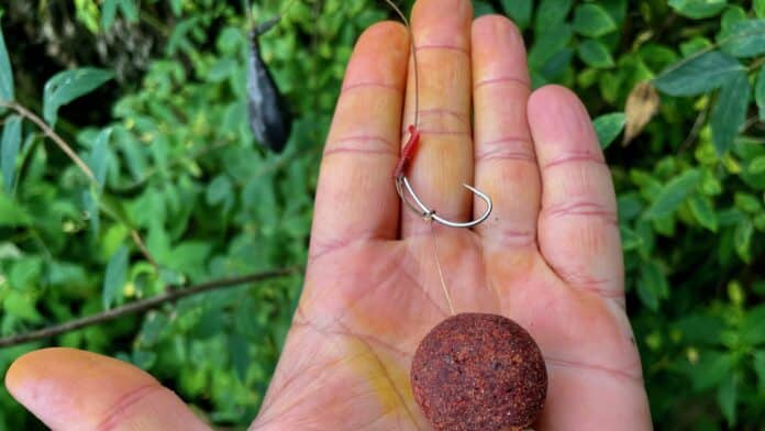 Close-up of a red bead fishing lure on a curved hook and line, held between fingers with leafy background.