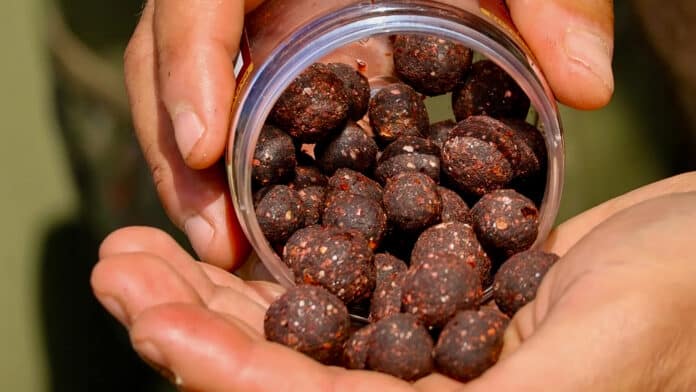 Close-up of hands holding a jar filled with small dark dried berries with reddish specks.