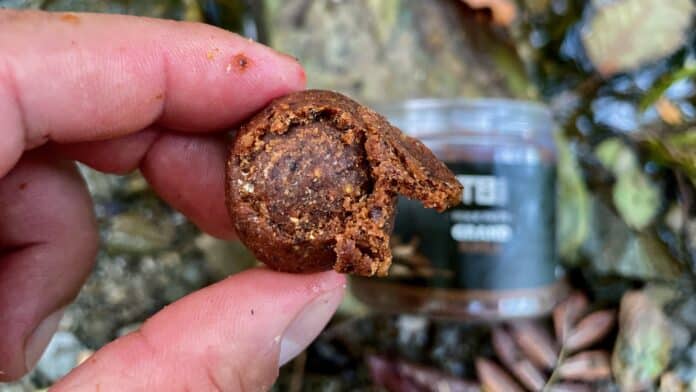 Close-up of a small, bite-sized chocolate treat held between fingertips, showing a crumbly, fudgy interior and glossy crust.