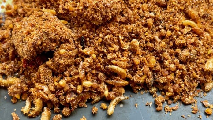 Close-up of golden brown, crispy breadcrumb coating and fried crumb bits scattered on a tray, likely from fried chicken crusts or crispy coating pieces.