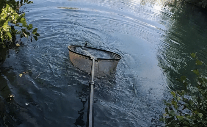 A metal scoop/net attached to a long handle drifts in dark river water near leafy banks.