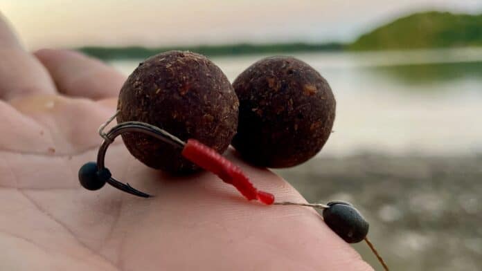 Close-up of two dark brown bead-like objects on a string held in a person's hand, with red thread and metal loop visible.