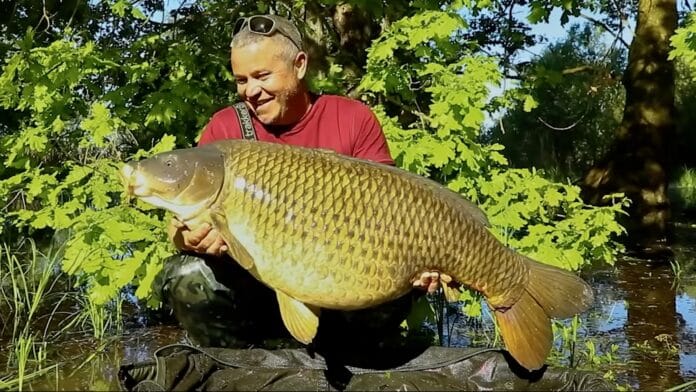 Man in a red shirt and sunglasses on his head holds a very large carp over a water’s edge with green trees in the background.