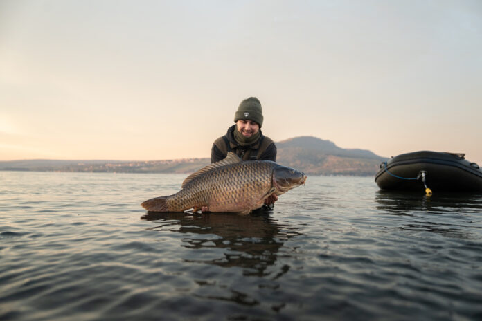 Man in a green beanie and jacket kneels in shallow water, proudly holding a large fish at sunset with a boat nearby.