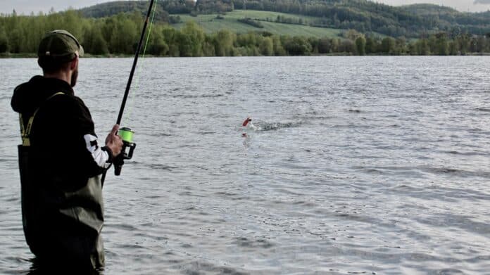Angler in waders standing in the lake, holding a fishing rod with a bright green reel, casting toward the water.