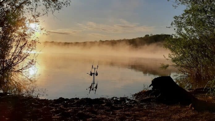 Sunrise over a misty lake framed by trees, with a small fishing setup in the water and a dark driftwood stump on the shore.