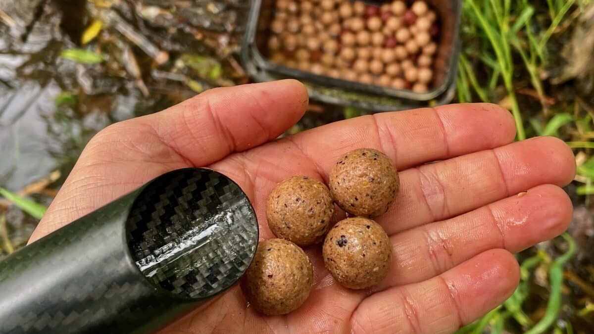 Hand holding four round brown fishing bait balls with a container of similar pellets in the background.