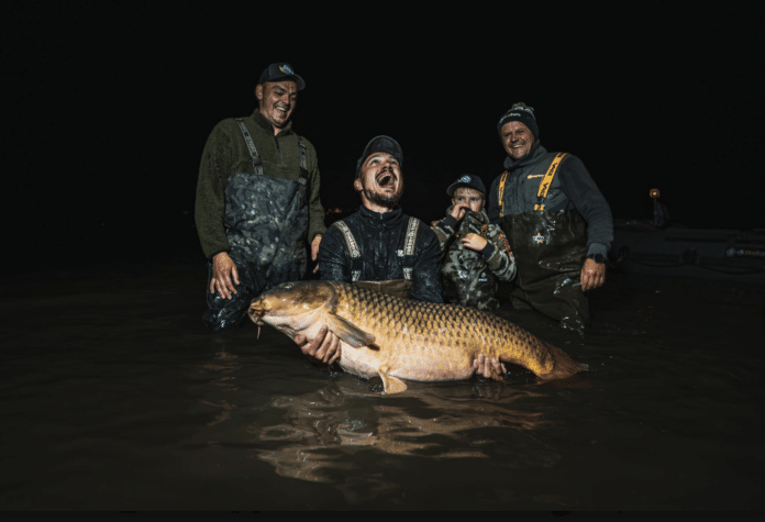 Four anglers in waders posing in dark water at night with a massive carp held across their hands, celebrating a catch.